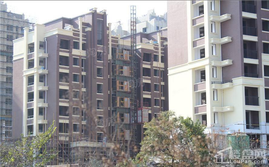 金洋·紫金艺境实景图