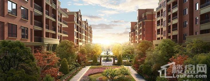 金洋·紫金艺境实景图