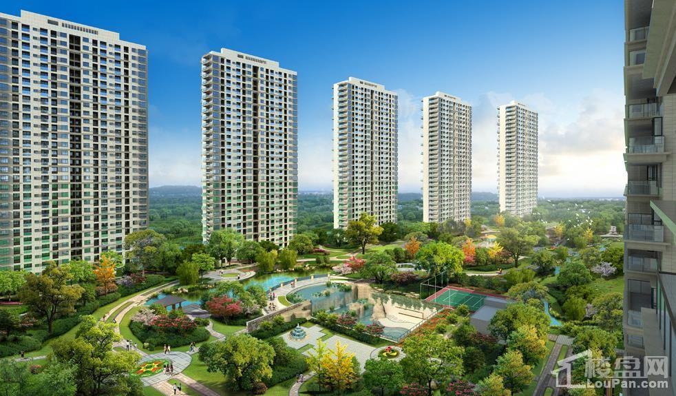 新中国际实景图
