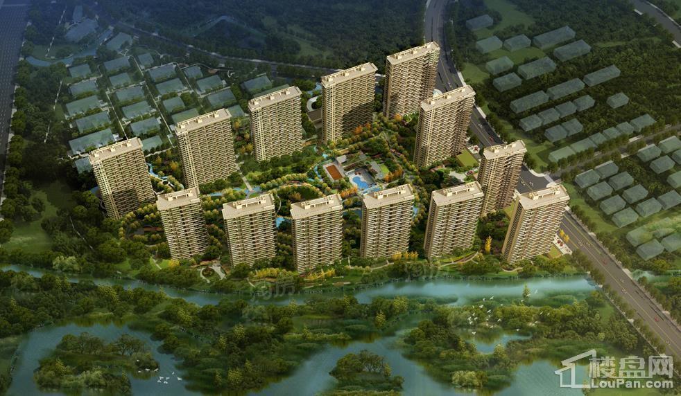 新中国际实景图