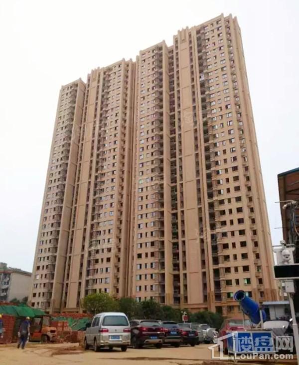 上园实景图