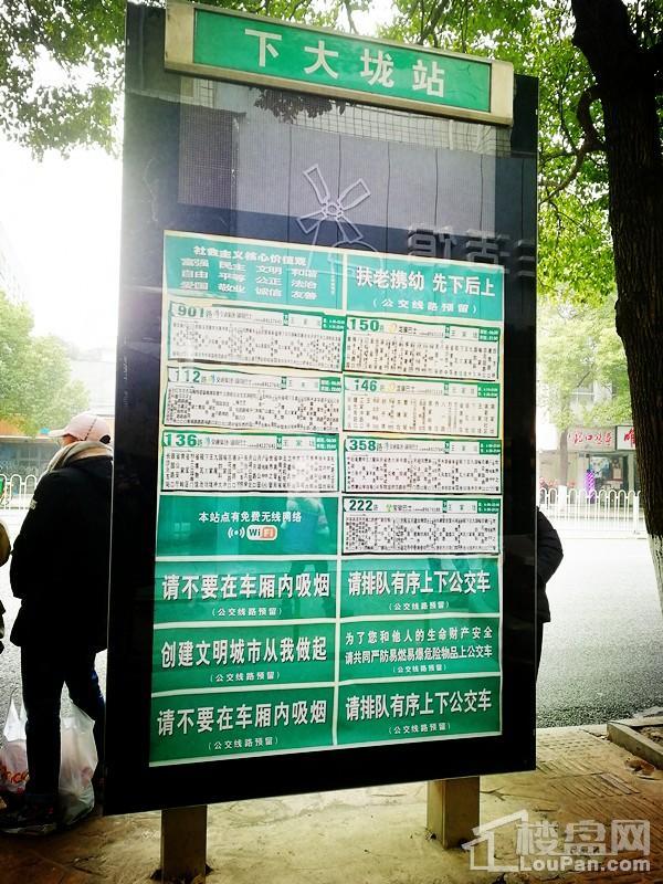 上园实景图
