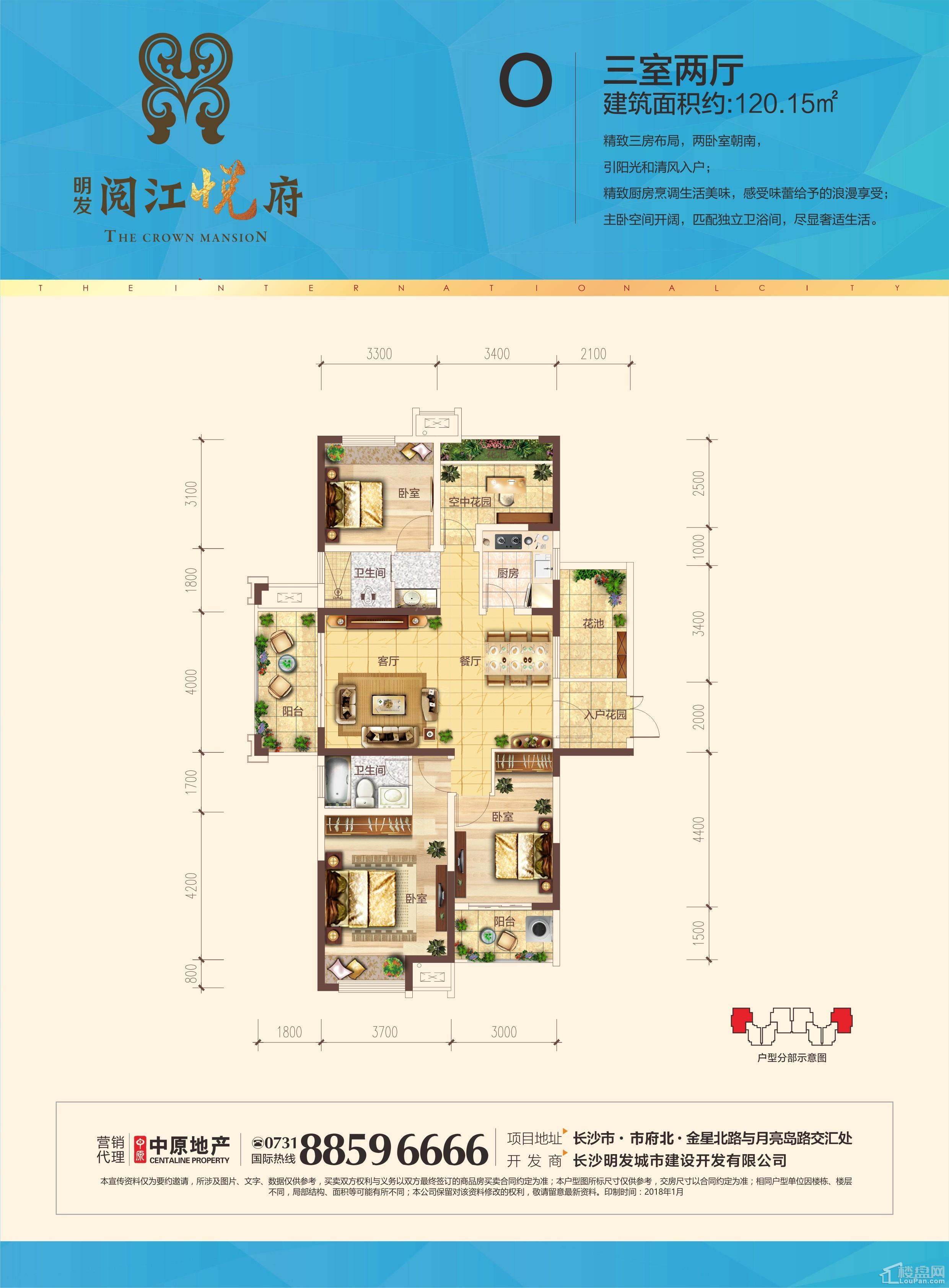 O户型