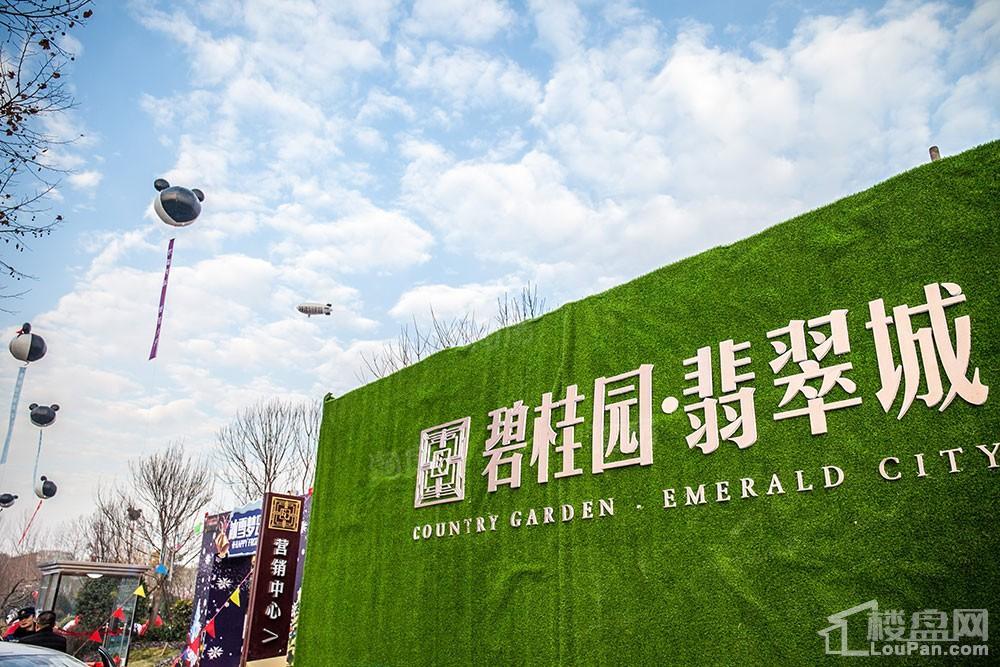 碧桂园·翡翠城实景图
