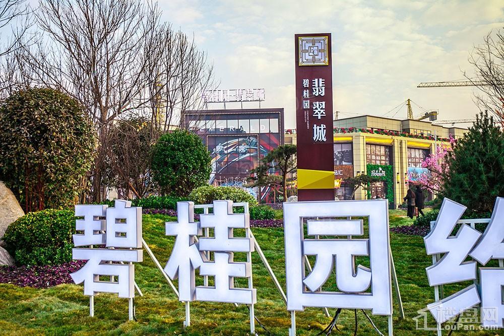碧桂园·翡翠城实景图