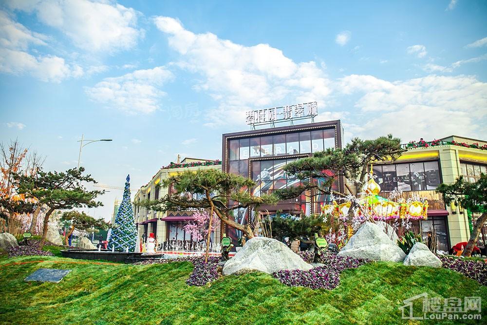 碧桂园·翡翠城实景图