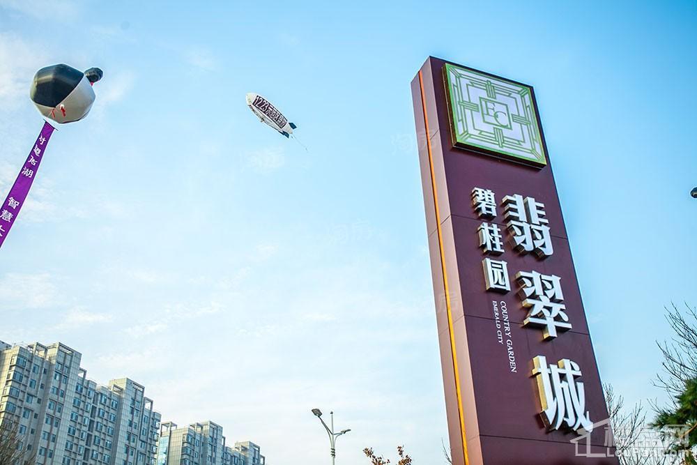 碧桂园·翡翠城实景图