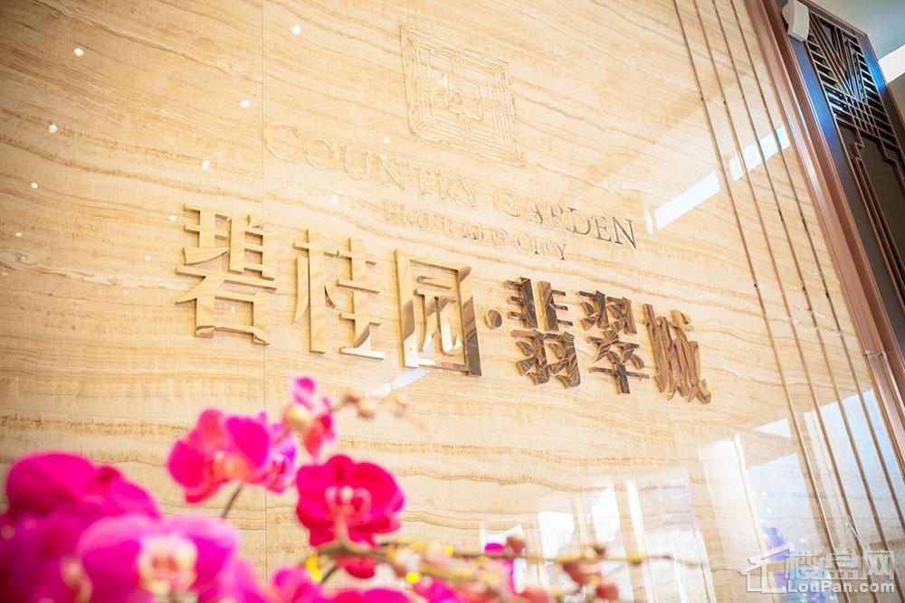 碧桂园·翡翠城实景图