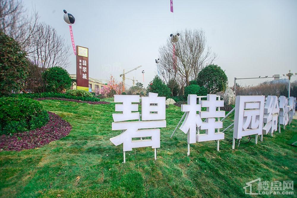 碧桂园·翡翠城实景图