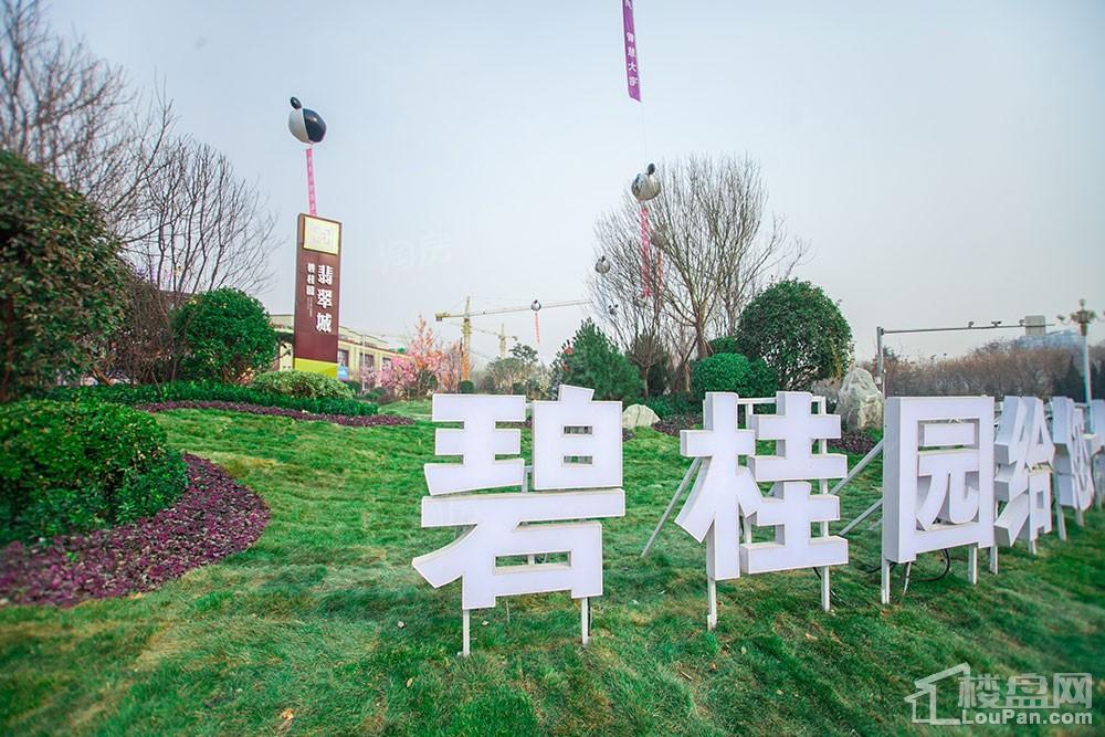 碧桂园·翡翠城实景图