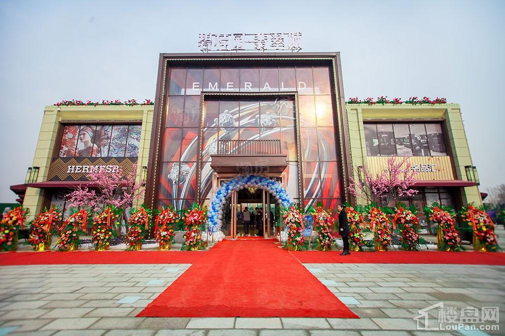 碧桂园·翡翠城实景图