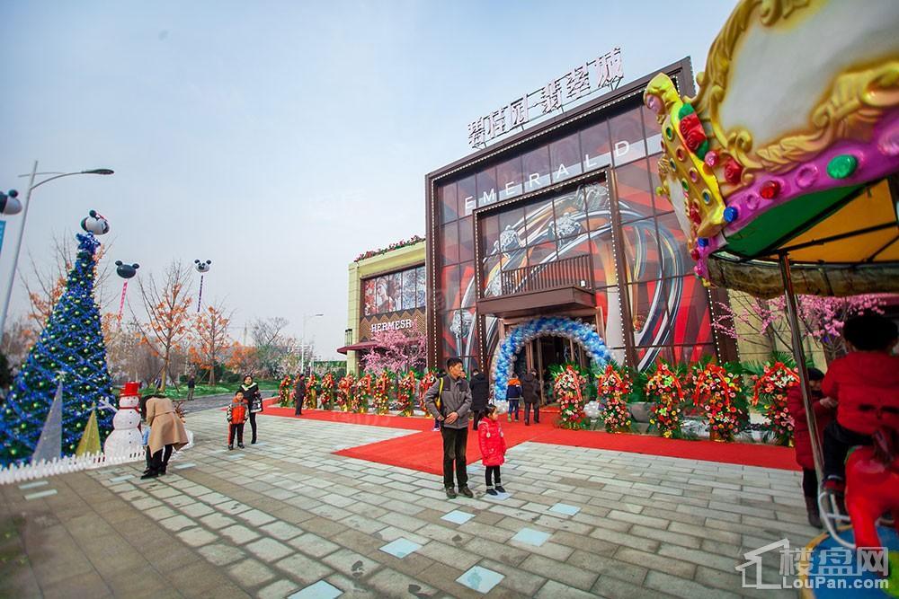碧桂园·翡翠城实景图