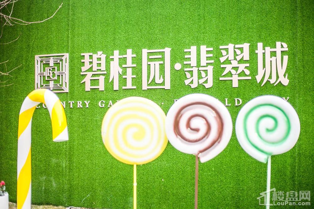 碧桂园·翡翠城实景图