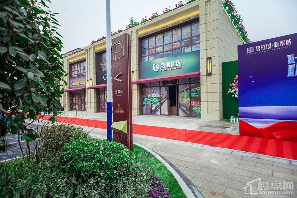 碧桂园·翡翠城实景图