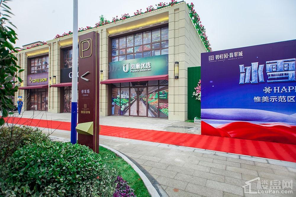 碧桂园·翡翠城实景图
