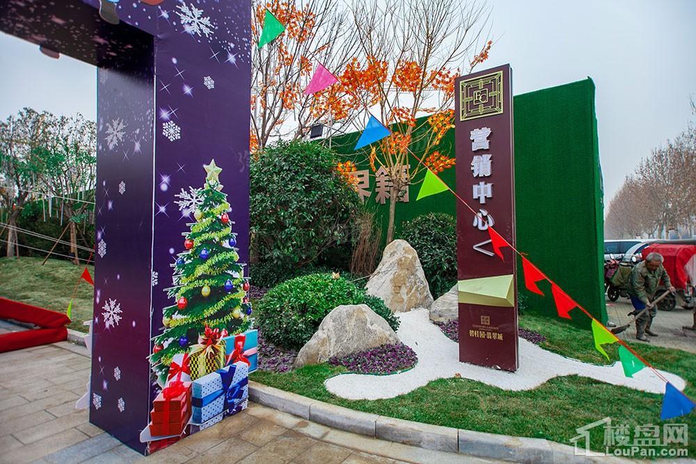碧桂园·翡翠城实景图