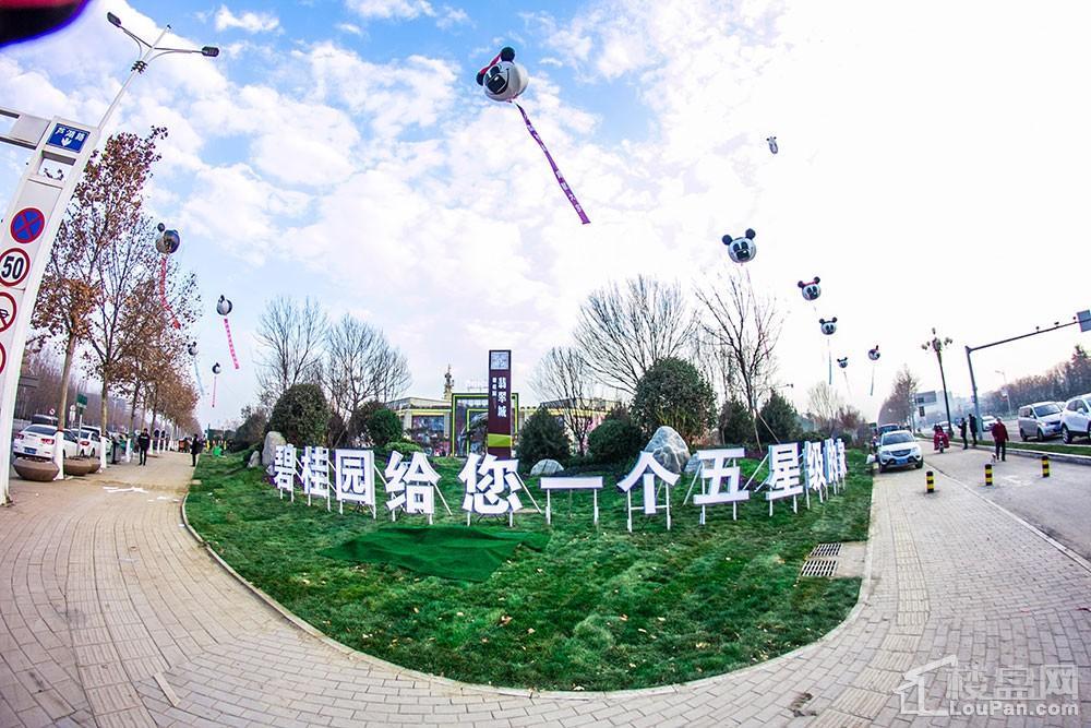 碧桂园·翡翠城实景图