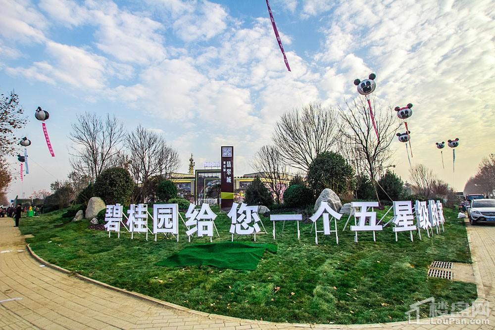 碧桂园·翡翠城实景图
