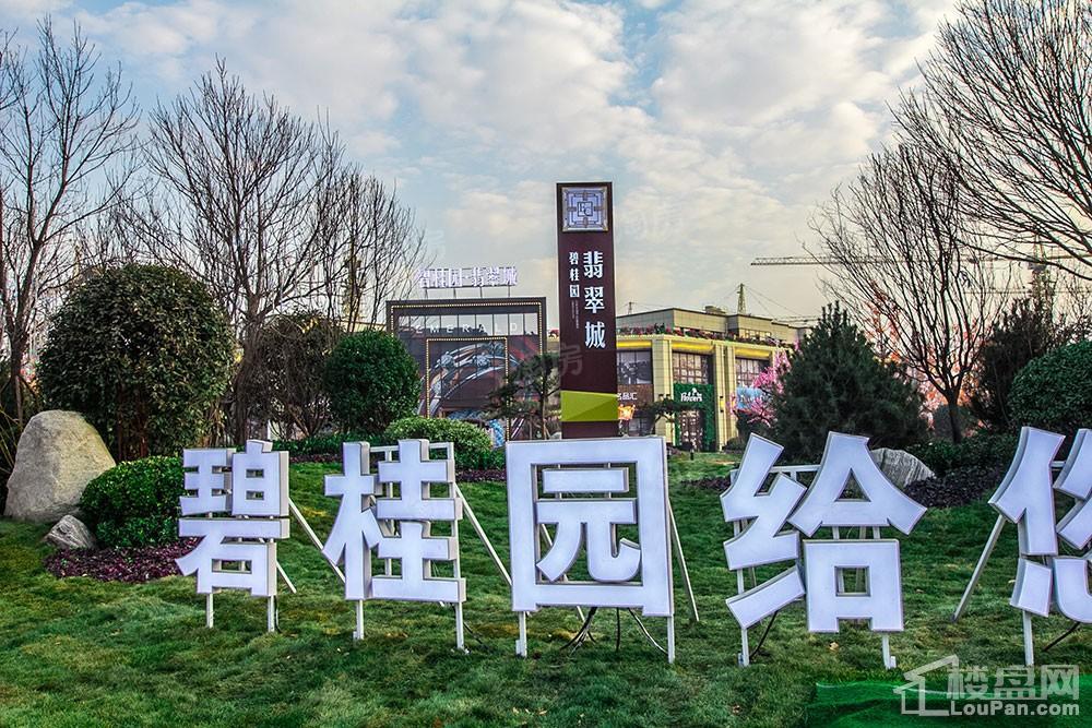 碧桂园·翡翠城实景图