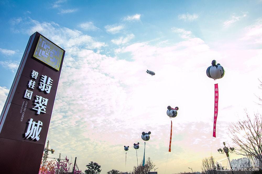 碧桂园·翡翠城实景图
