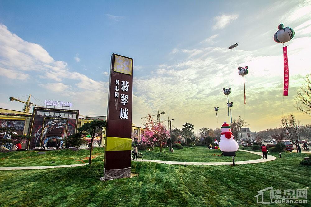 碧桂园·翡翠城实景图