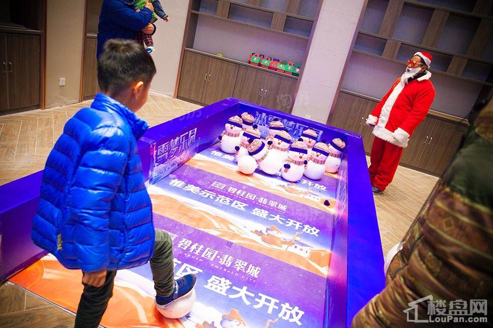 碧桂园·翡翠城实景图
