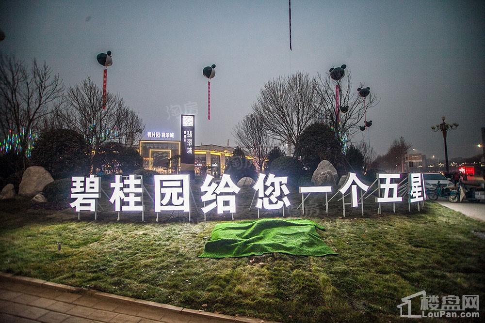碧桂园·翡翠城实景图