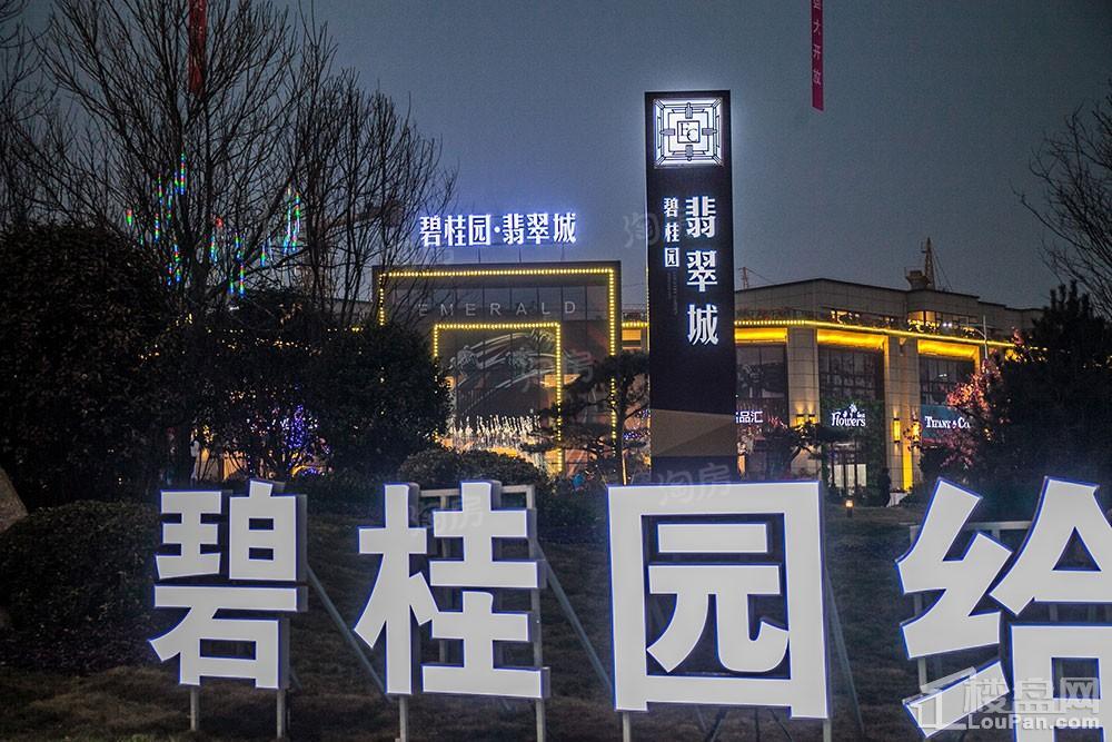 碧桂园·翡翠城实景图