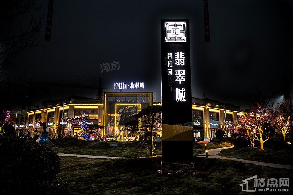 碧桂园·翡翠城实景图