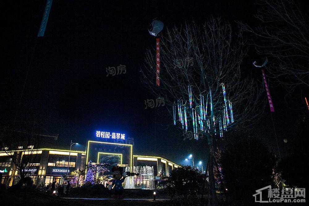 碧桂园·翡翠城实景图