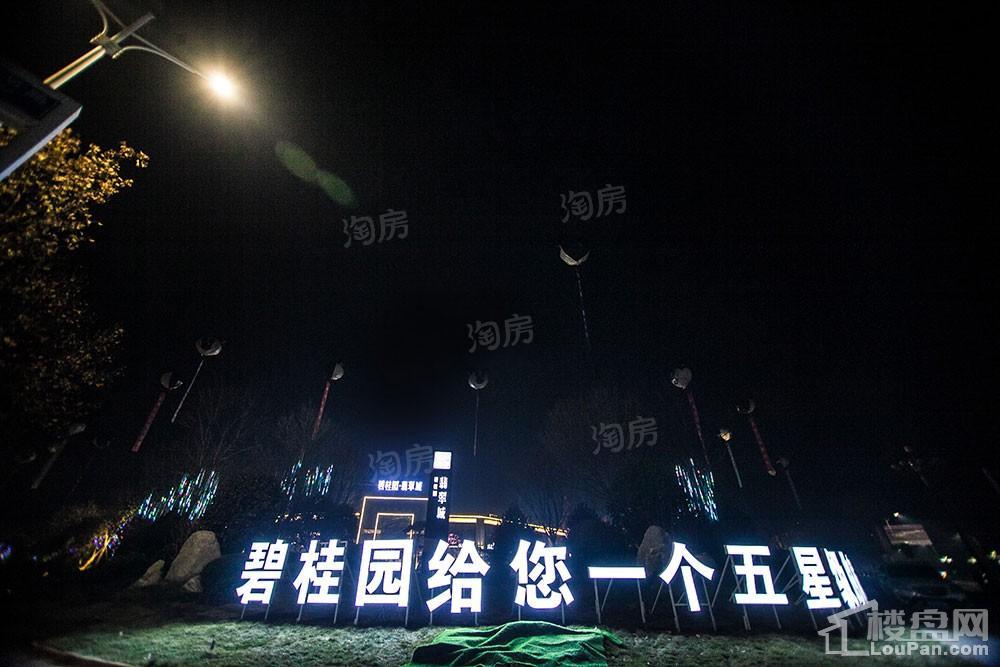 碧桂园·翡翠城实景图