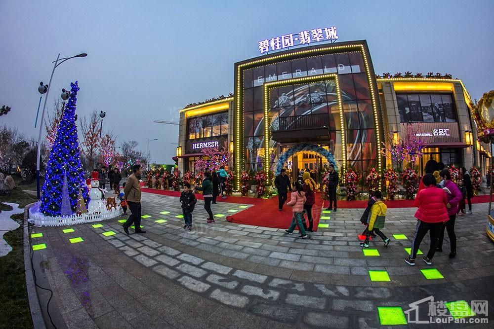 碧桂园·翡翠城实景图