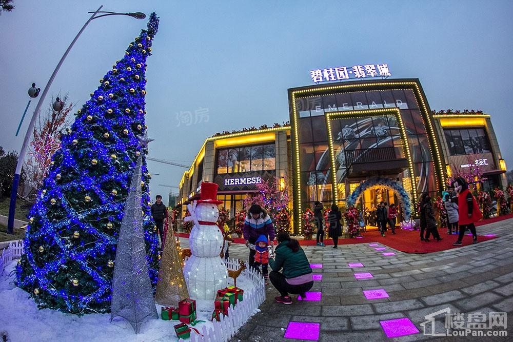 碧桂园·翡翠城实景图