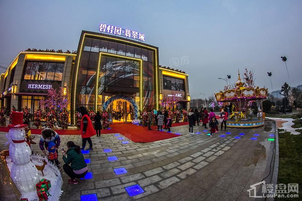 碧桂园·翡翠城实景图