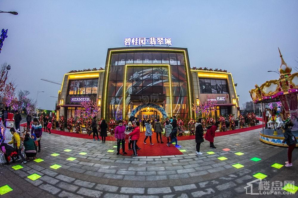 碧桂园·翡翠城实景图
