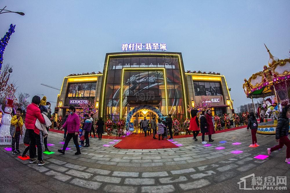 碧桂园·翡翠城实景图