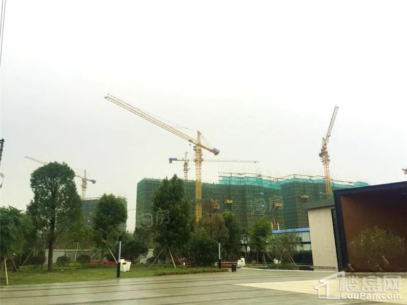 南沙湾御苑实景图