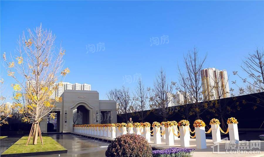 实景图