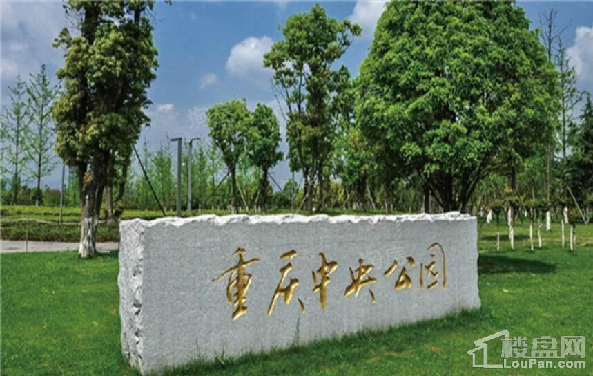 中交中央公园配套图