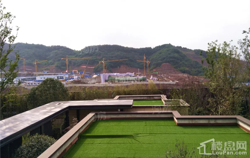 金辉·中央銘著实景图