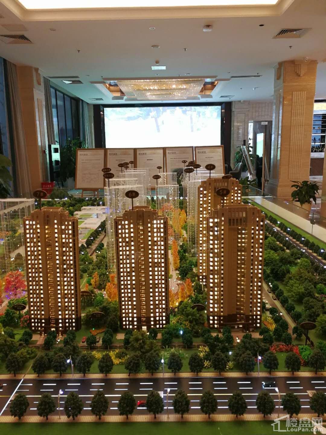 金辉优步湖畔实景图