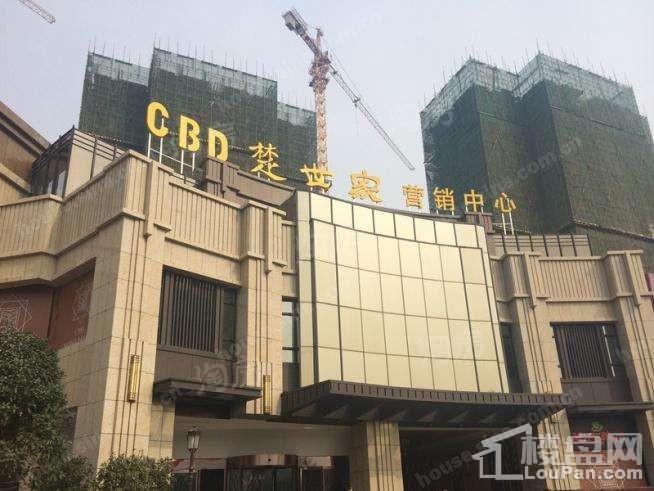 CBD楚世家实景图