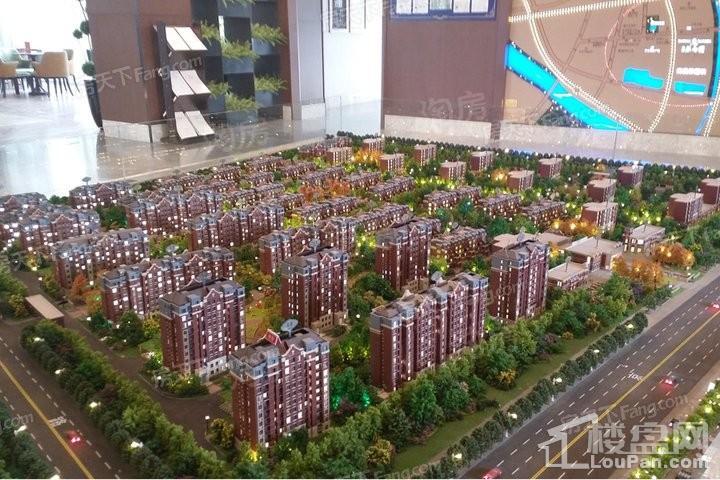 实景图