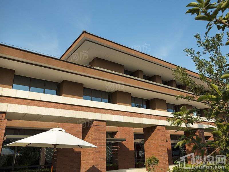 泊湖林奇郡实景图