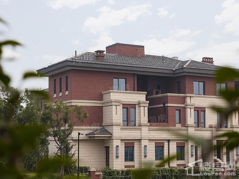 泊湖林奇郡实景图