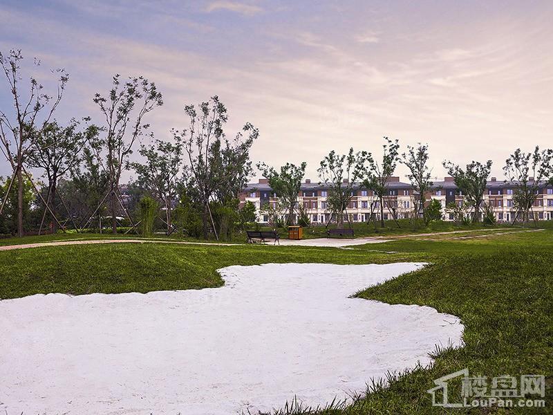 泊湖林奇郡实景图