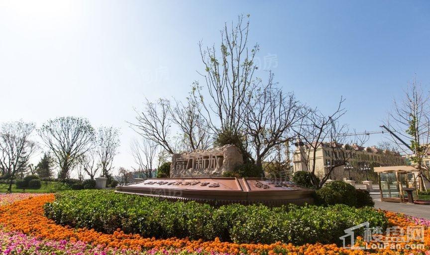 实景图
