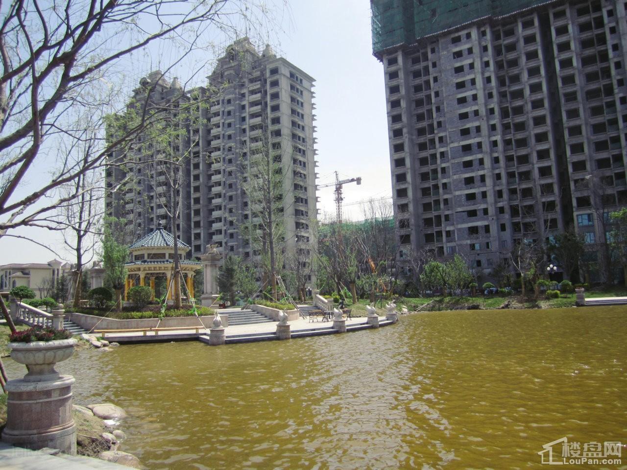 天津恒大翡翠华庭实景图
