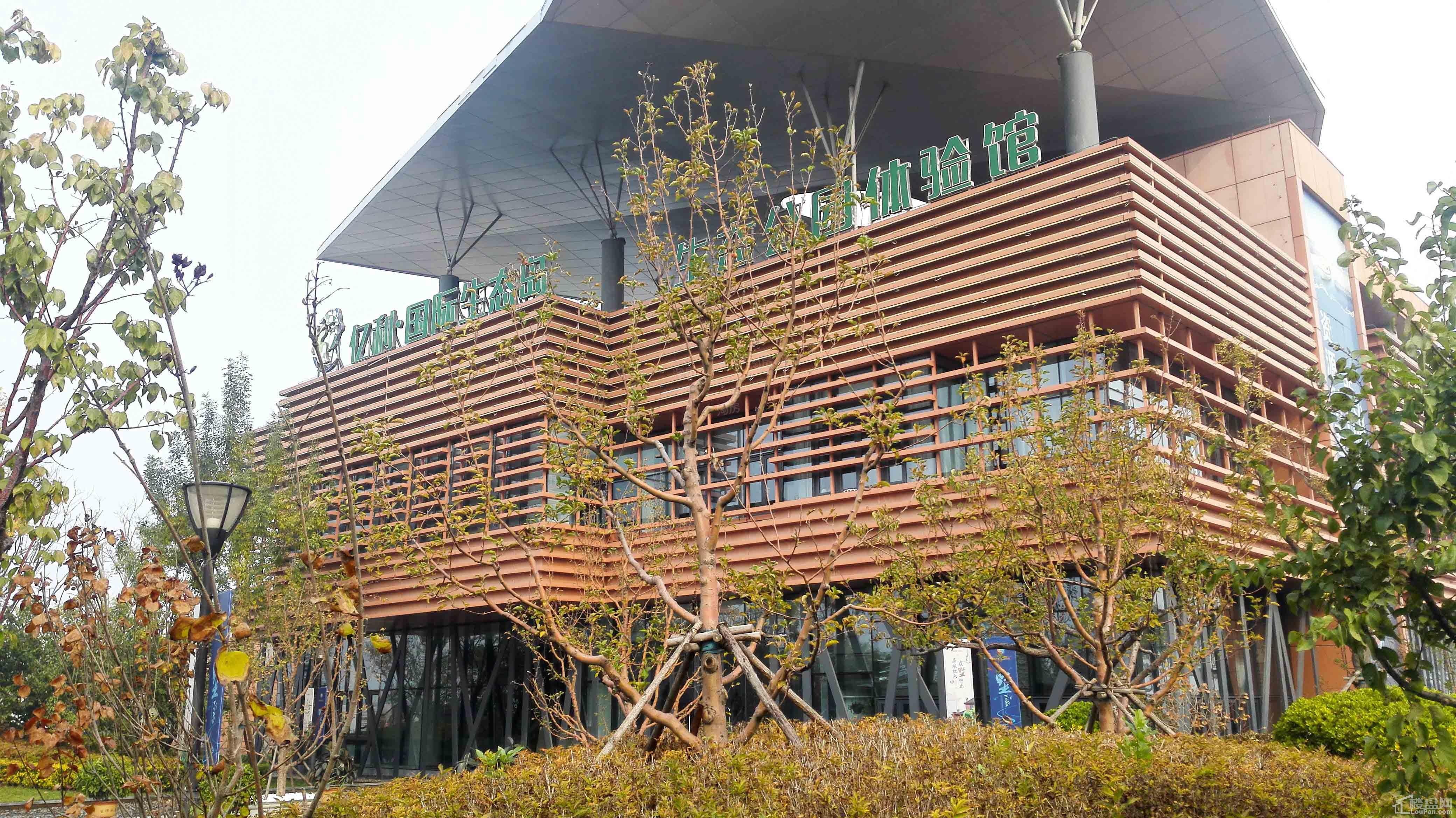 亿利国际生态岛实景图
