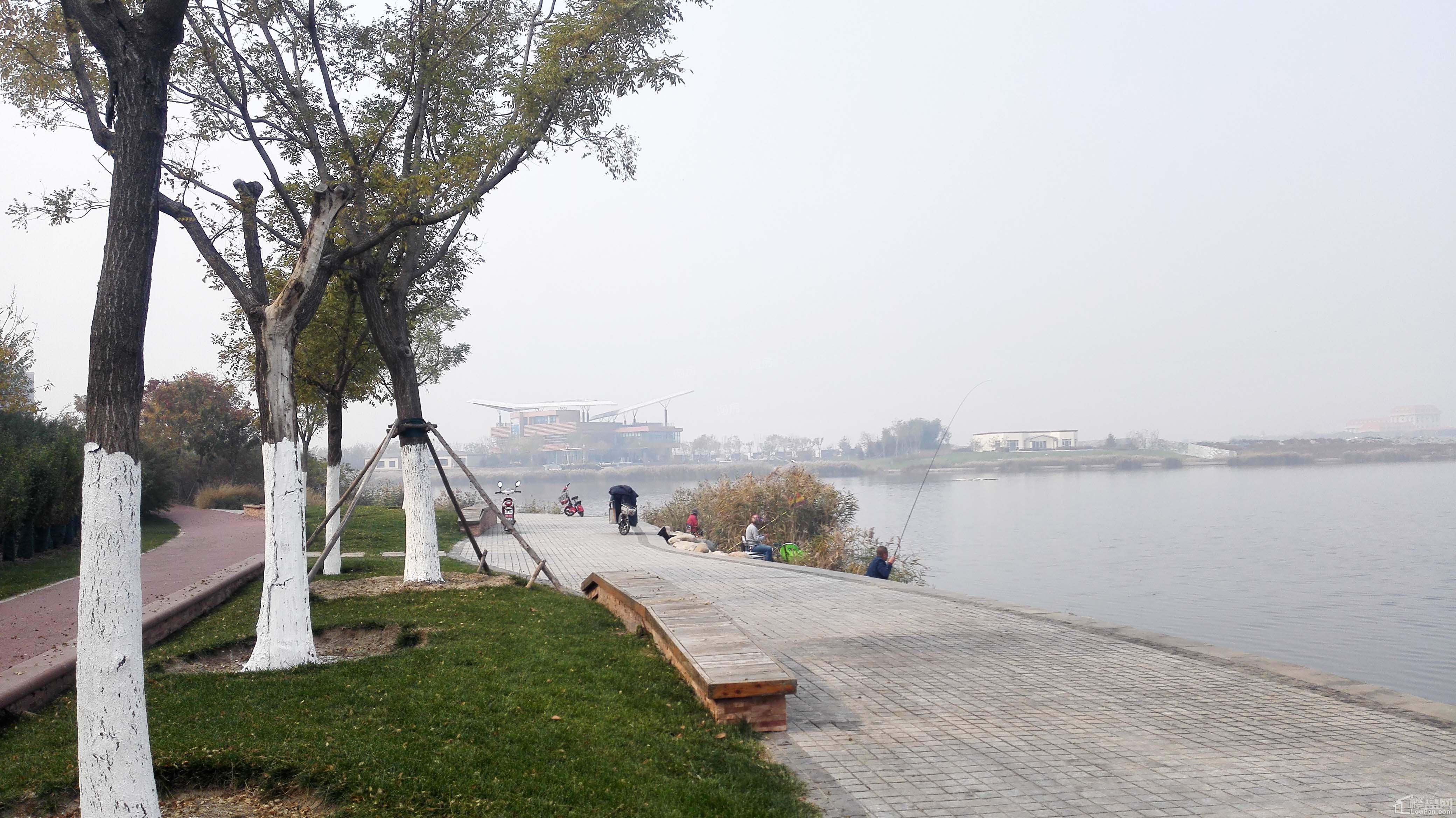 亿利国际生态岛实景图